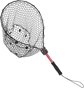 71e-JiV+COL._AC_UF350,